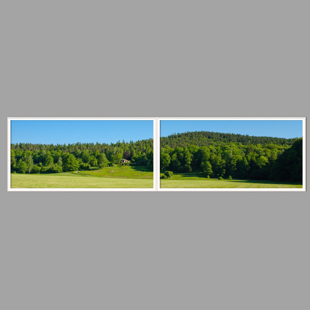 LED-Wandbild Zweiteiler quer 240x60 cm – Felder & Wiesen