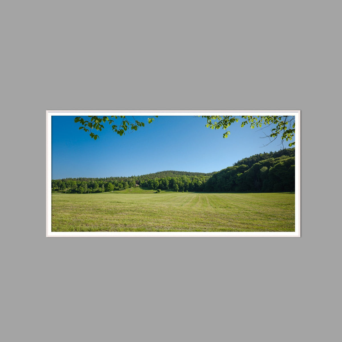 LED-Wandbild 60x120 cm quer – Felder & Wiesen