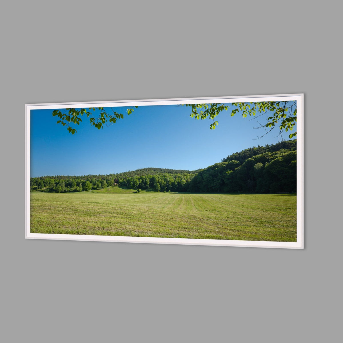 LED-Wandbild 60x120 cm quer – Felder & Wiesen