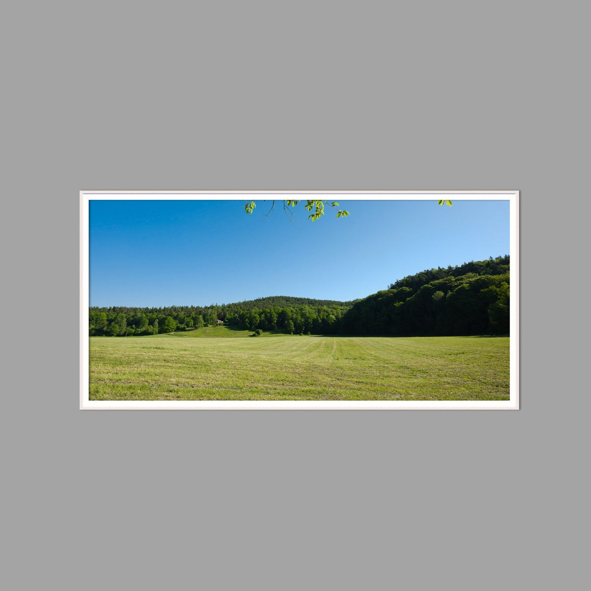 LED-Wandbild 60x120 cm quer – Felder & Wiesen