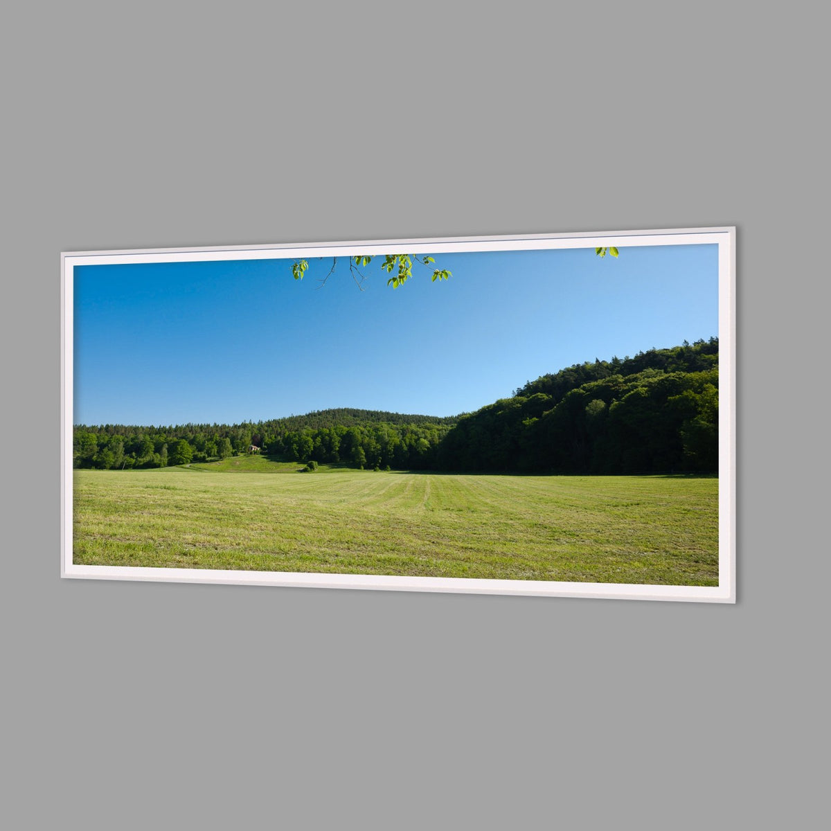 LED-Wandbild 60x120 cm quer – Felder & Wiesen
