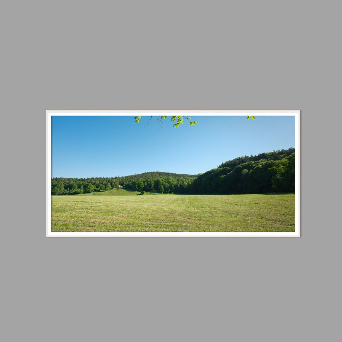 LED-Wandbild 60x120 cm quer – Felder & Wiesen