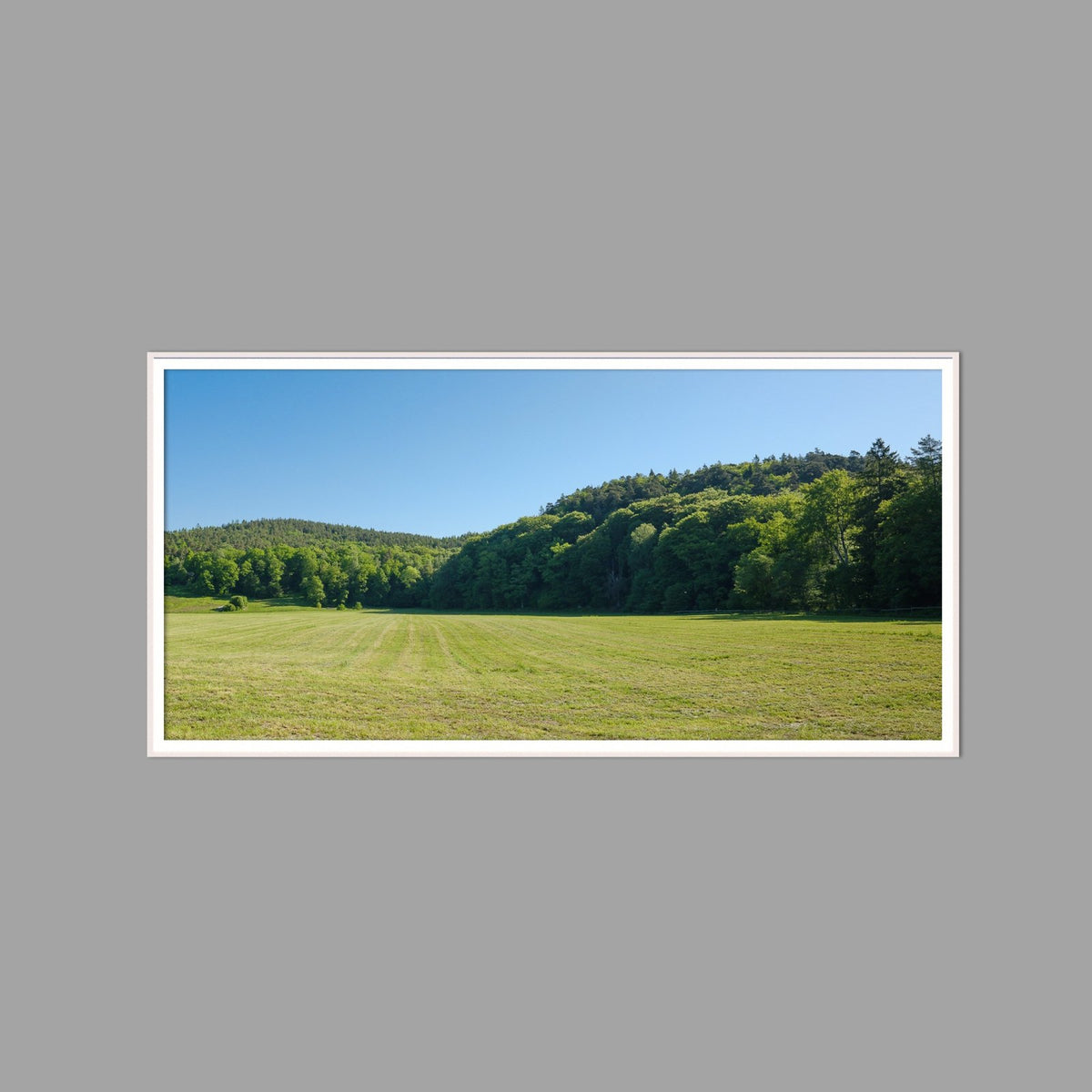 LED-Wandbild 60x120 cm quer – Felder & Wiesen
