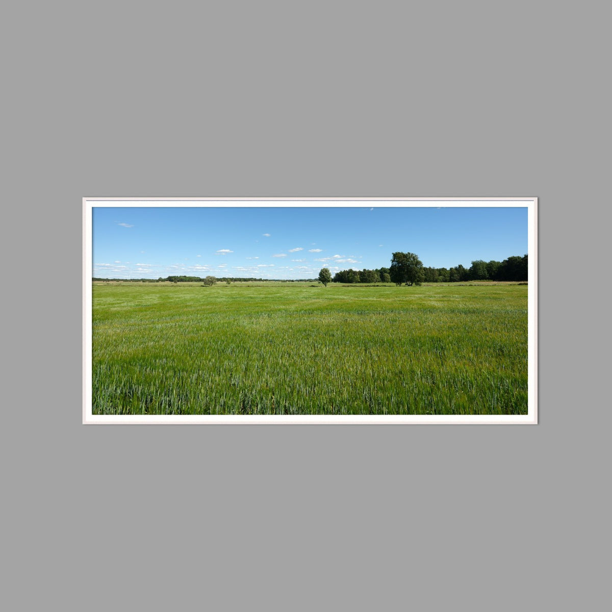 LED-Wandbild 60x120 cm quer – Felder & Wiesen