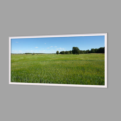 LED-Wandbild 60x120 cm quer – Felder & Wiesen