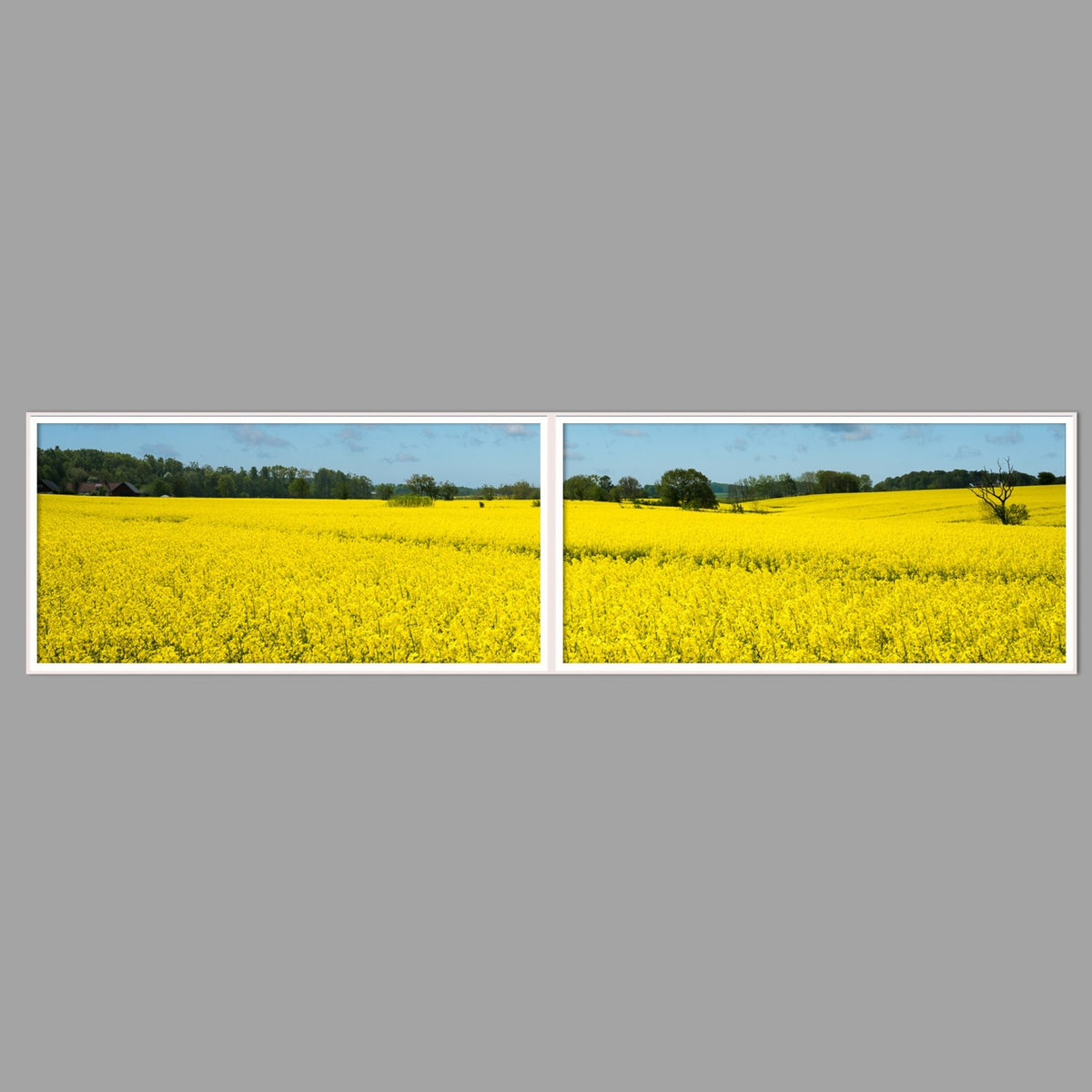 LED-Wandbild Zweiteiler quer 240x60 cm – Felder & Wiesen