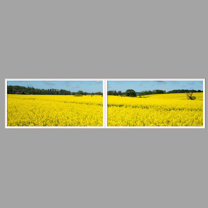 LED-Wandbild Zweiteiler quer 240x60 cm – Felder & Wiesen