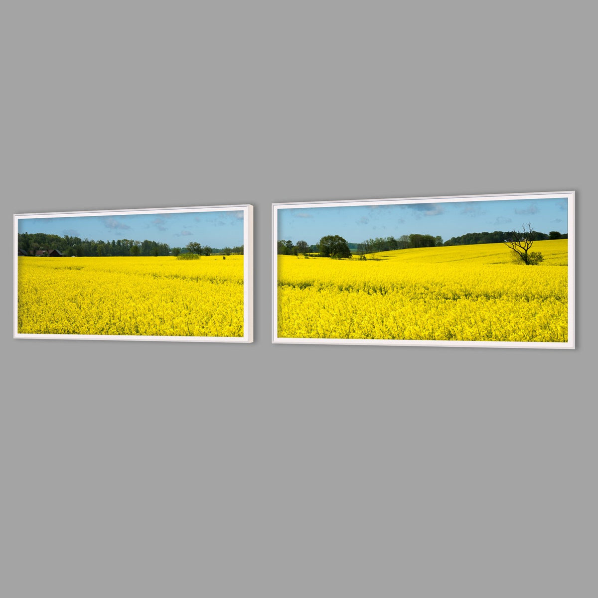LED-Wandbild Zweiteiler quer mit Abstand – Felder & Wiesen