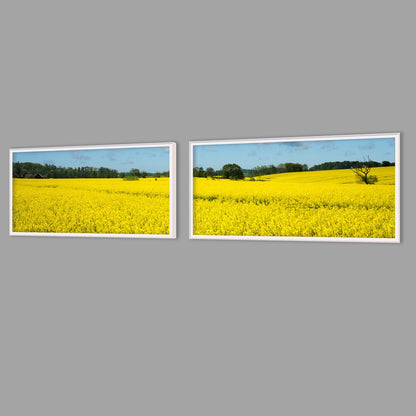 LED-Wandbild Zweiteiler quer mit Abstand – Felder & Wiesen