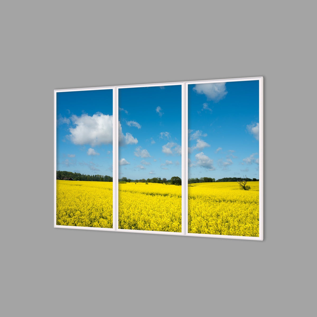 LED-Wandbild Dreiteiler hochkant 180x120 cm – Felder & Wiesen