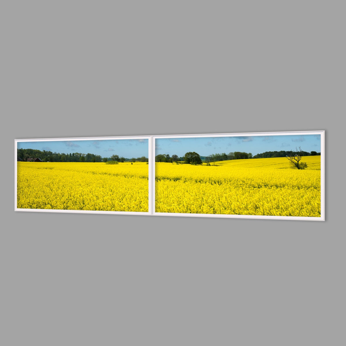 LED-Wandbild Zweiteiler quer 240x60 cm – Felder & Wiesen