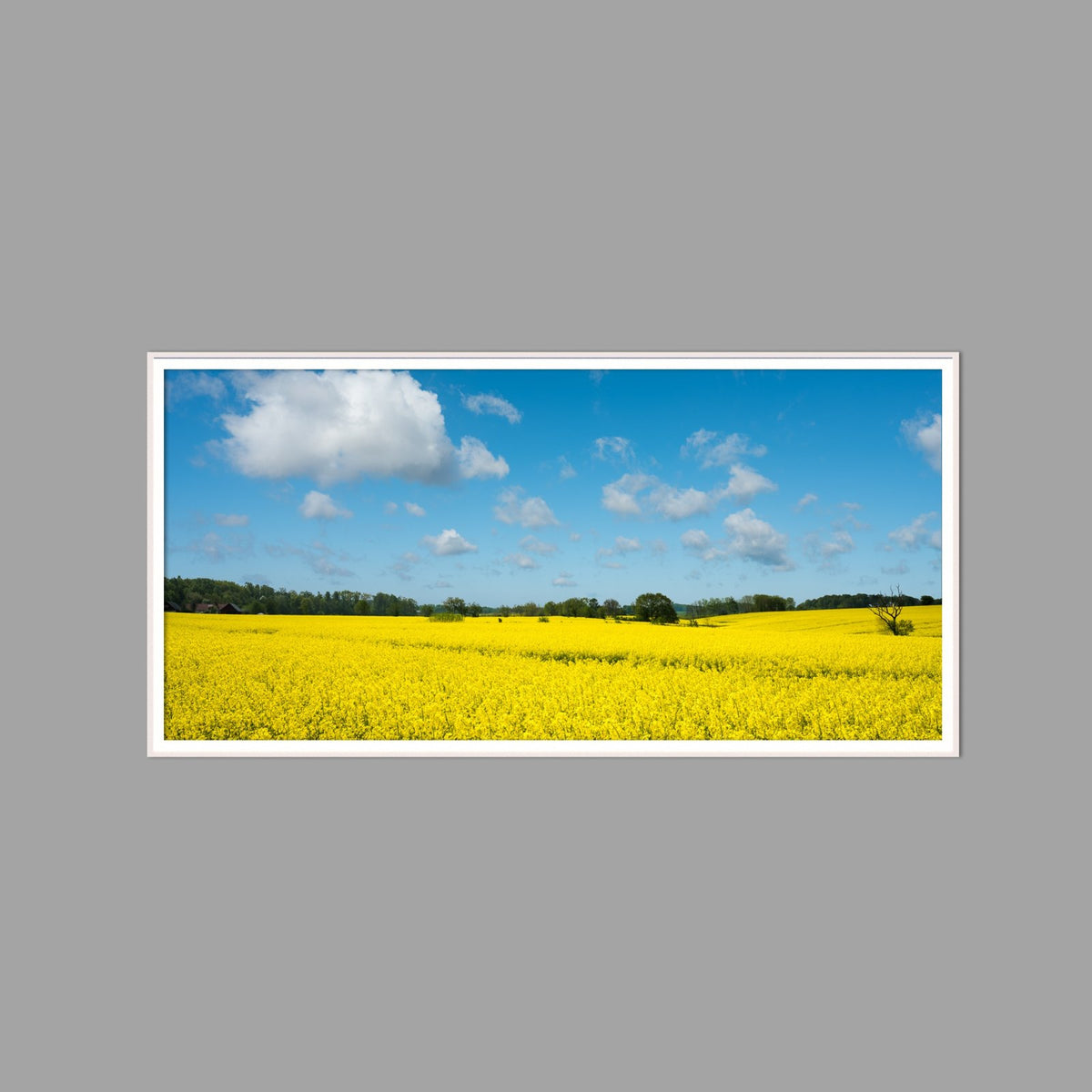 LED-Wandbild 60x120 cm quer – Felder & Wiesen