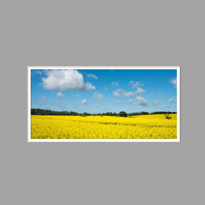 LED-Wandbild 60x120 cm quer – Felder & Wiesen