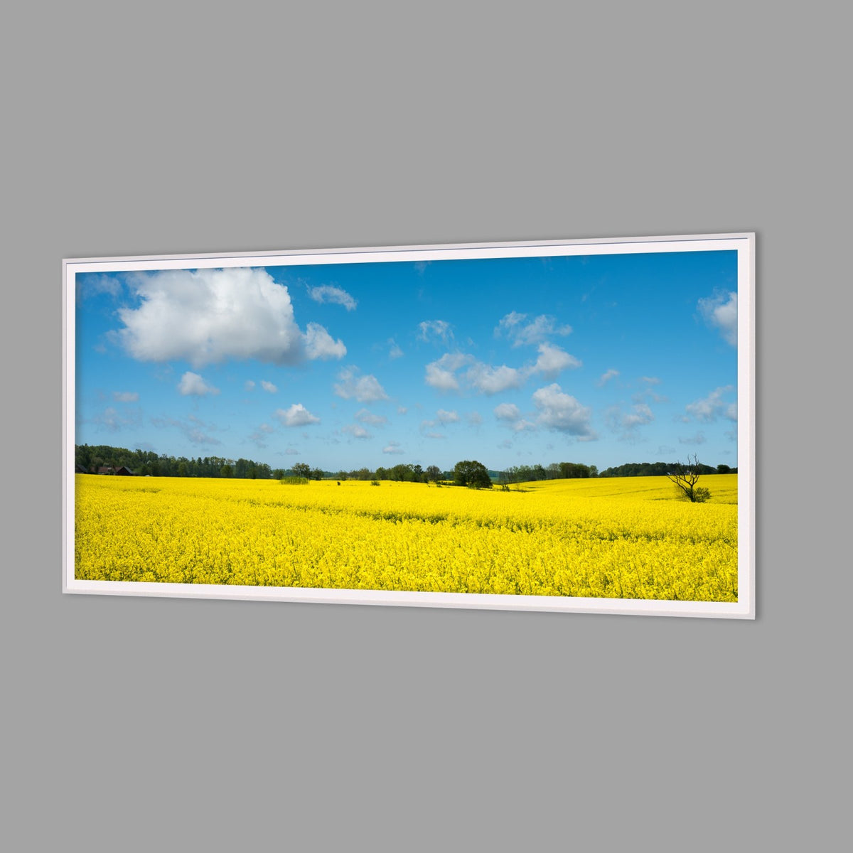 LED-Wandbild 60x120 cm quer – Felder & Wiesen
