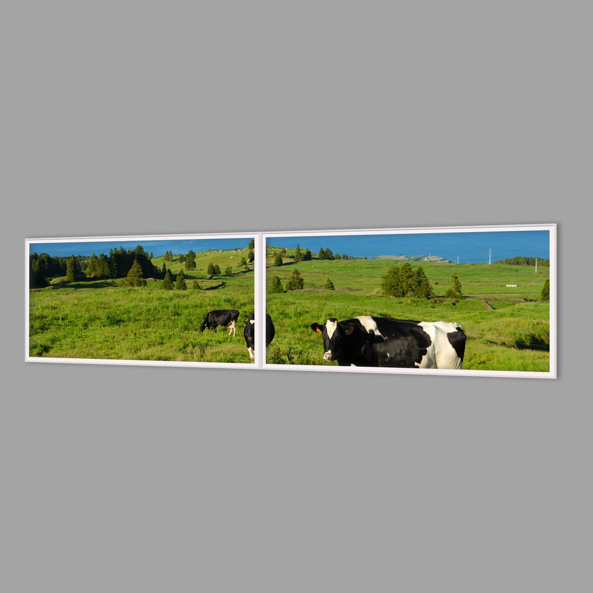 LED-Wandbild Zweiteiler quer 240x60 cm – Felder & Wiesen