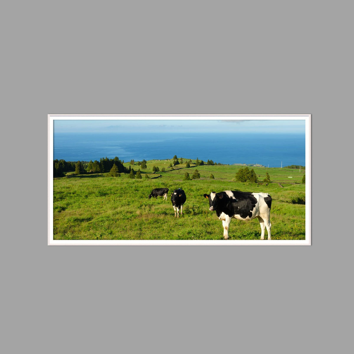 LED-Wandbild 60x120 cm quer – Felder & Wiesen