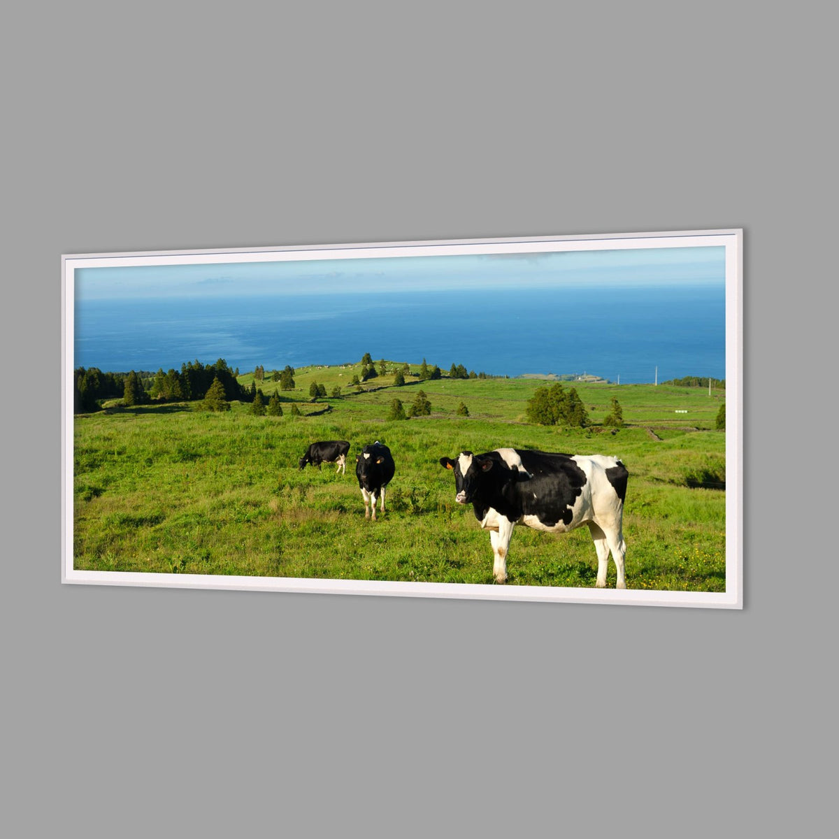 LED-Wandbild 60x120 cm quer – Felder & Wiesen