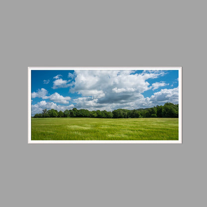 LED-Wandbild 60x120 cm quer – Felder & Wiesen
