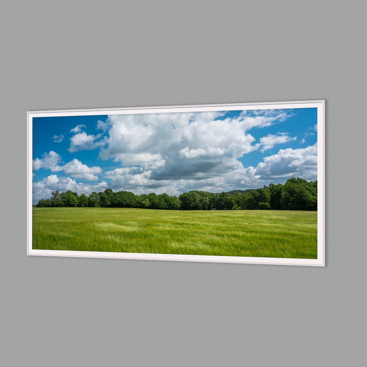 LED-Wandbild 60x120 cm quer – Felder & Wiesen