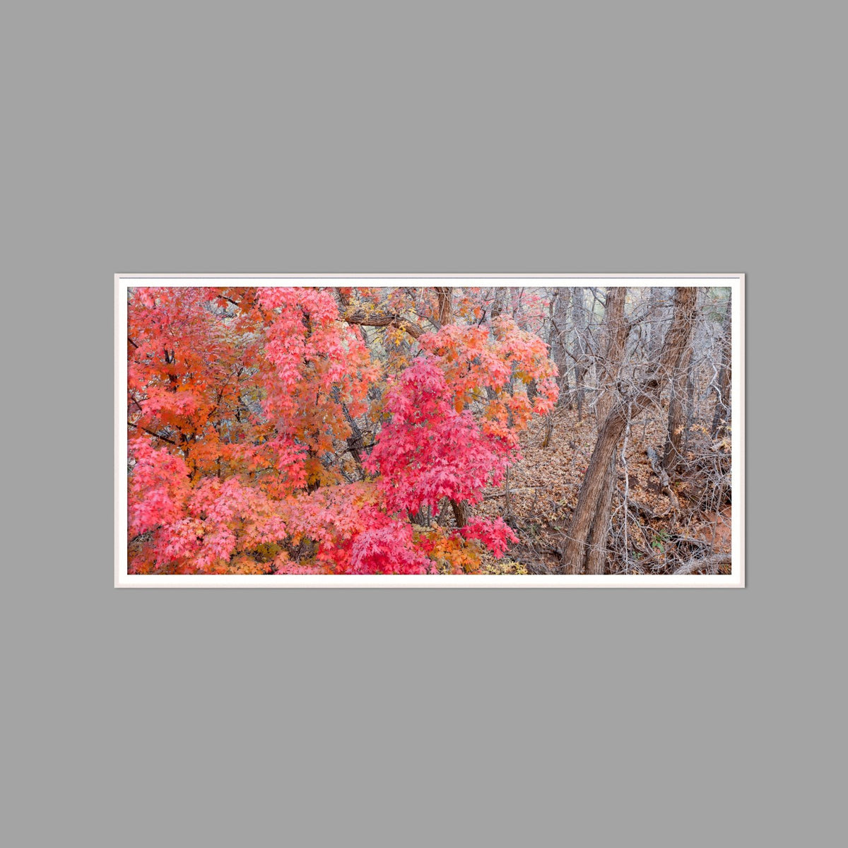 LED-Wandbild 60x120 cm quer – Herbst