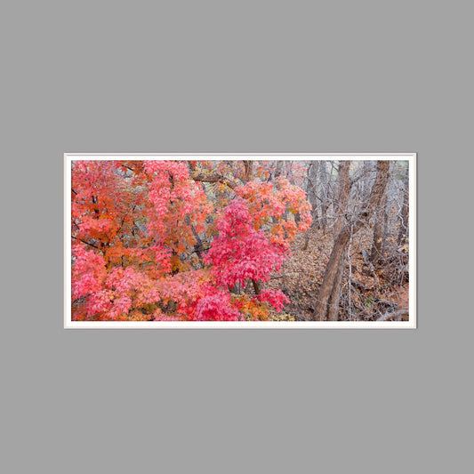 LED-Wandbild 60x120 cm quer – Herbst
