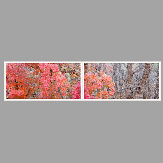 LED-Wandbild Zweiteiler quer 240x60 cm – Herbst