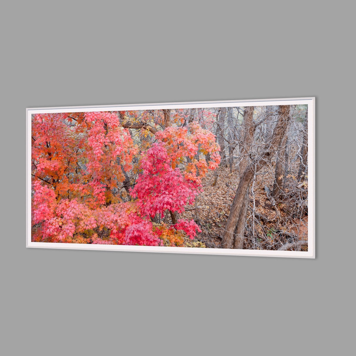 LED-Wandbild 60x120 cm quer – Herbst