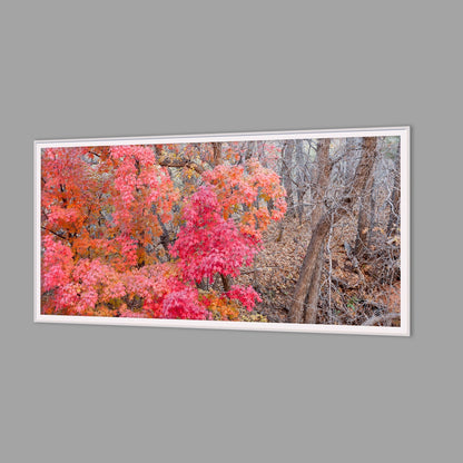 LED-Wandbild 60x120 cm quer – Herbst