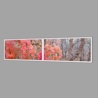 LED-Wandbild Zweiteiler quer 240x60 cm – Herbst