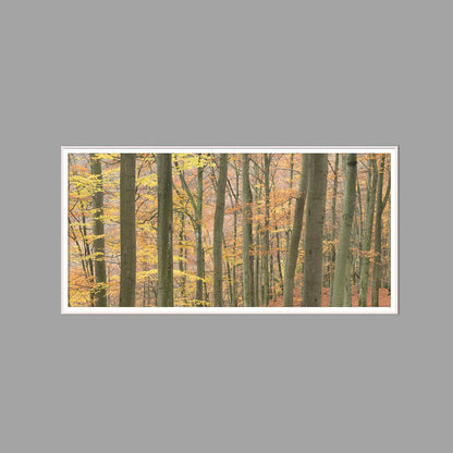 LED-Wandbild 60x120 cm quer – Herbst