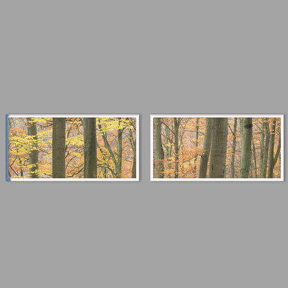 LED-Wandbild Zweiteiler quer mit Abstand – Herbst