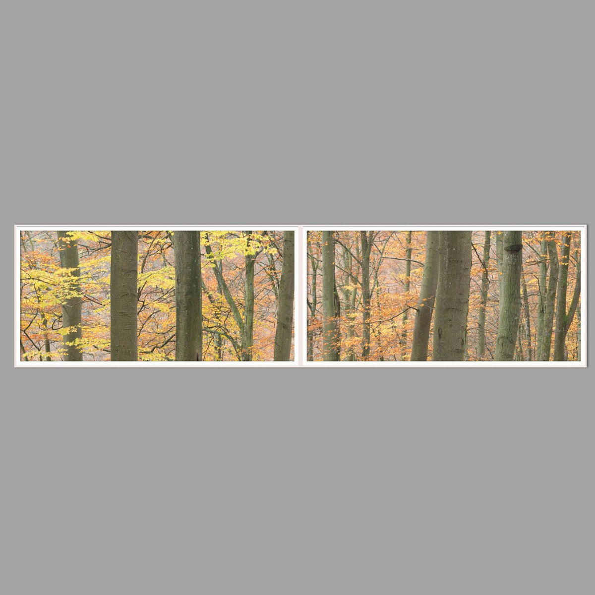 LED-Wandbild Zweiteiler quer 240x60 cm – Herbst
