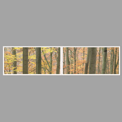 LED-Wandbild Zweiteiler quer 240x60 cm – Herbst