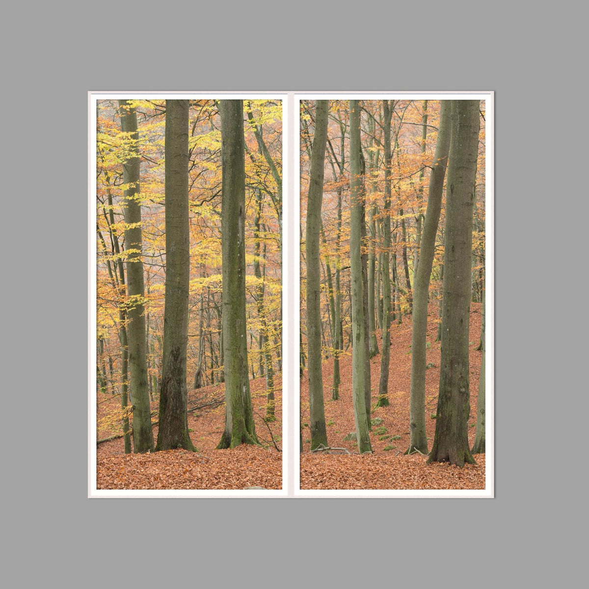 LED-Wandbild Zweiteiler hochkant 120x120 cm – Herbst