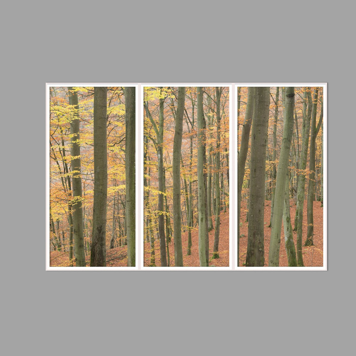 LED-Wandbild Dreiteiler hochkant 180x120 cm – Herbst