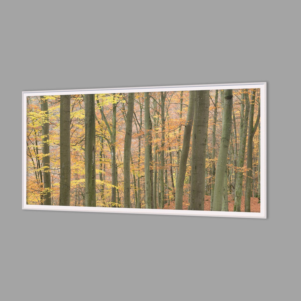 LED-Wandbild 60x120 cm quer – Herbst