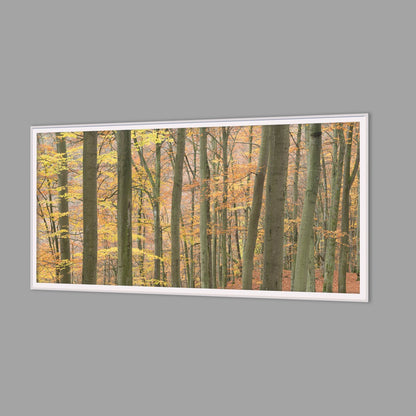 LED-Wandbild 60x120 cm quer – Herbst