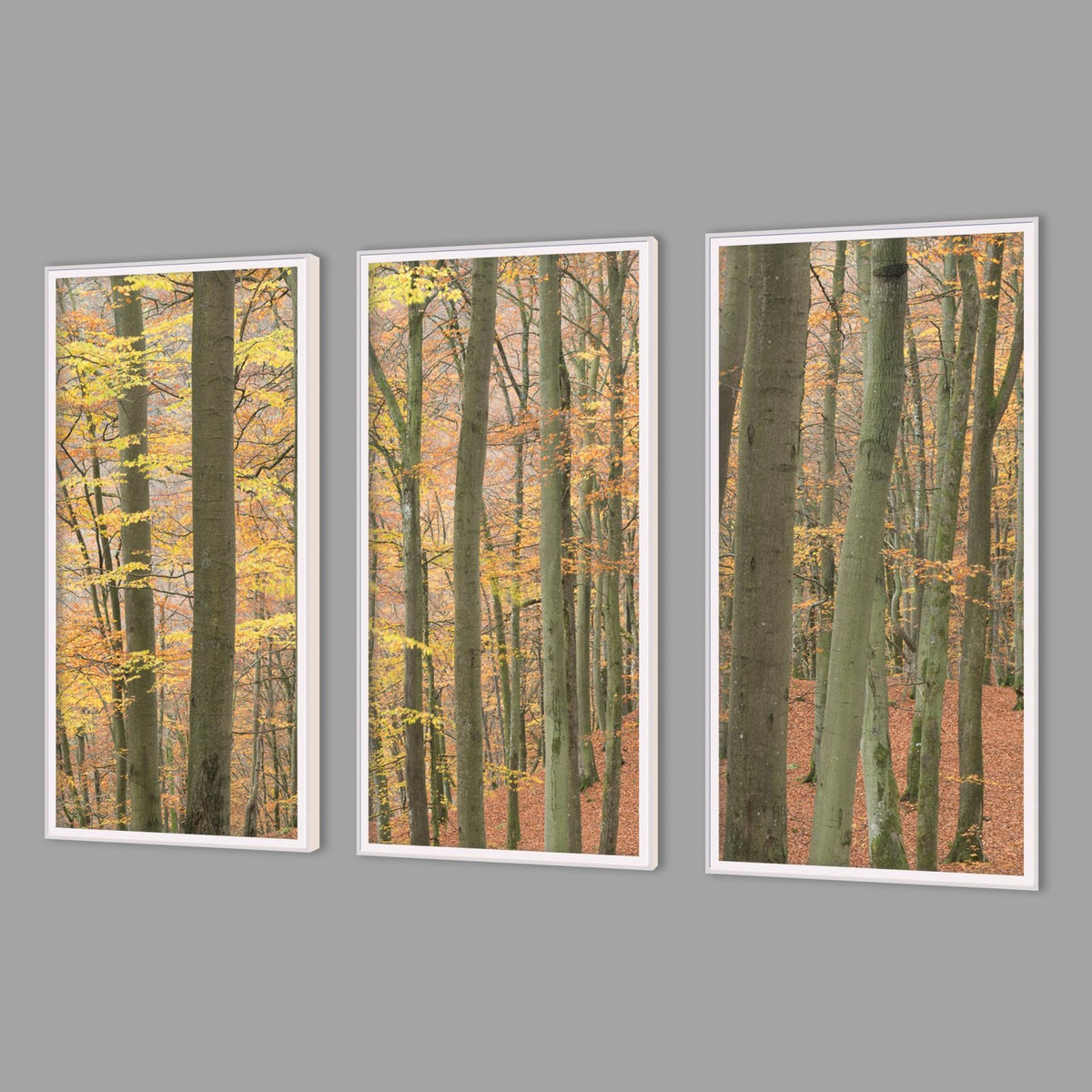 LED-Wandbild Dreiteiler hochkant mit Abstand – Herbst