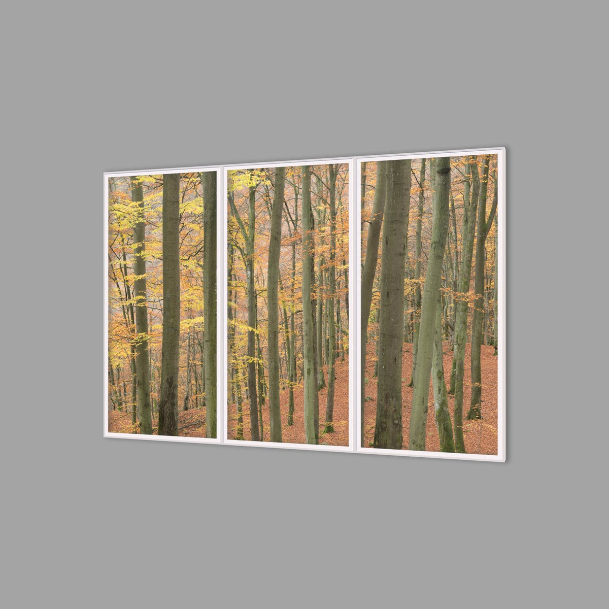 LED-Wandbild Dreiteiler hochkant 180x120 cm – Herbst