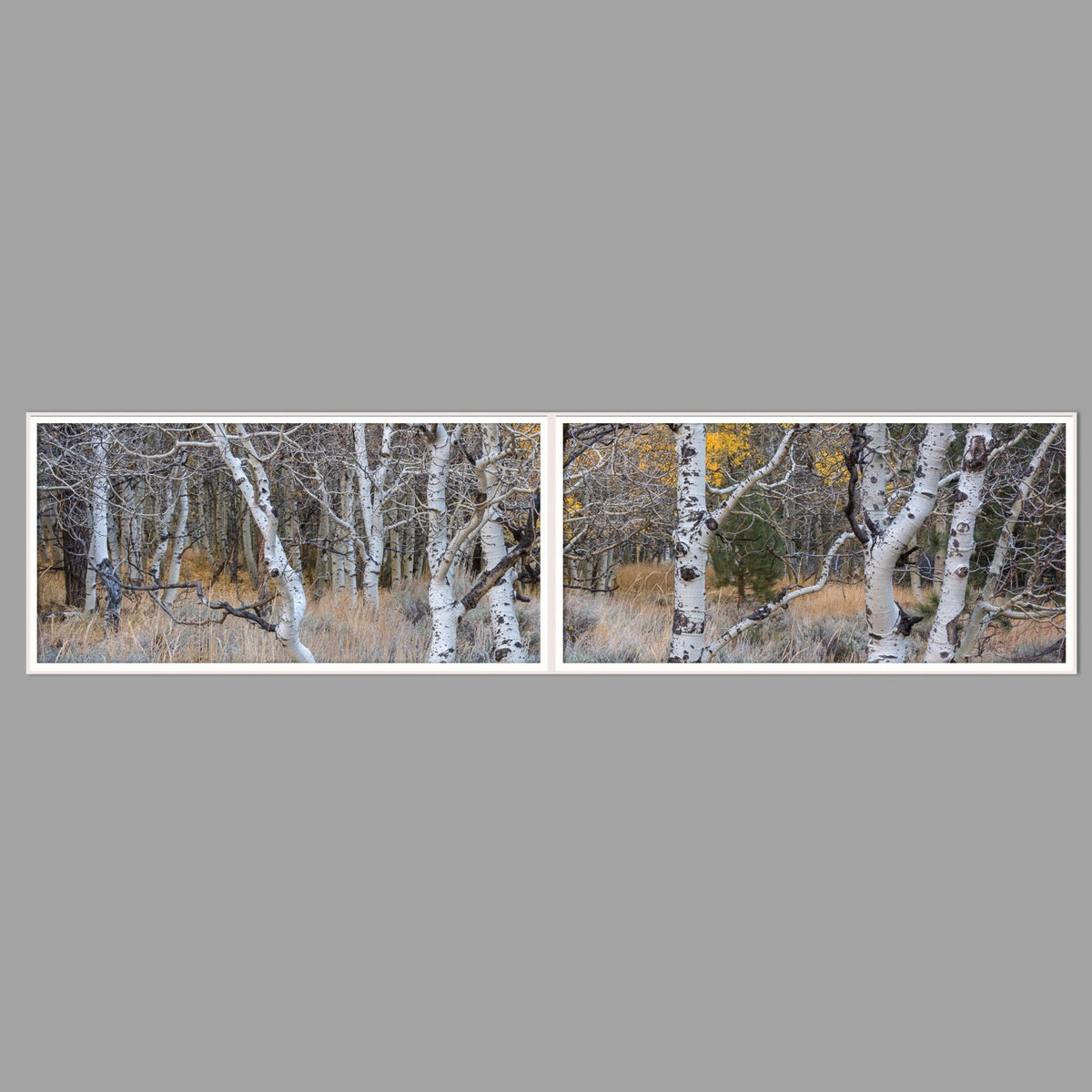 LED-Wandbild Zweiteiler quer 240x60 cm – Herbst