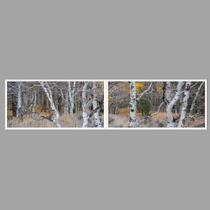 LED-Wandbild Zweiteiler quer 240x60 cm – Herbst