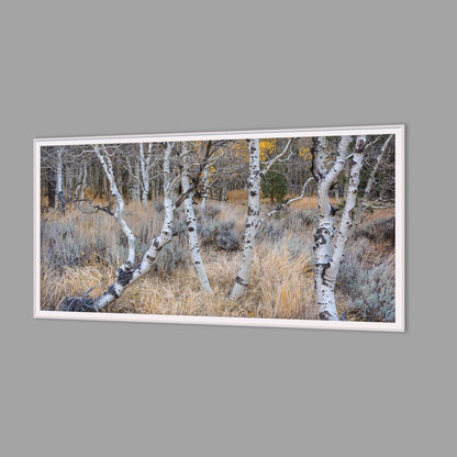 LED-Wandbild 60x120 cm quer – Herbst
