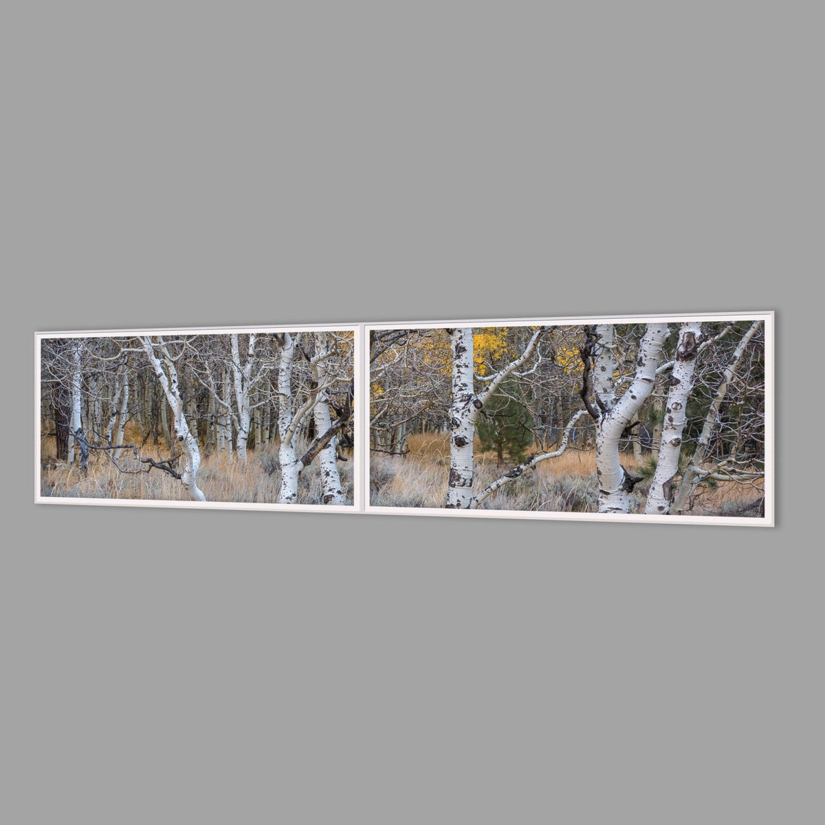 LED-Wandbild Zweiteiler quer 240x60 cm – Herbst