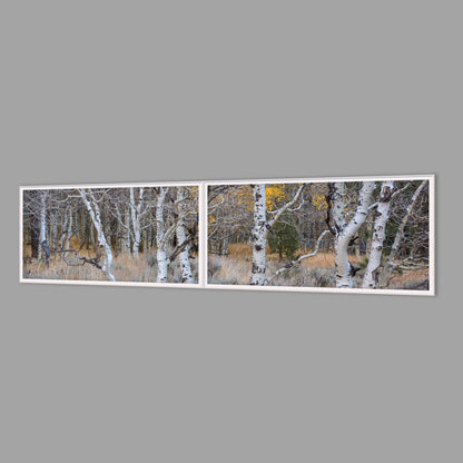 LED-Wandbild Zweiteiler quer 240x60 cm – Herbst