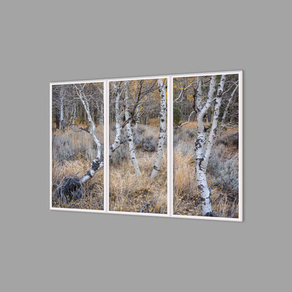 LED-Wandbild Dreiteiler hochkant 180x120 cm – Herbst