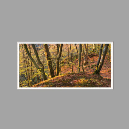 LED-Wandbild 60x120 cm quer – Herbst