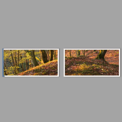 LED-Wandbild Zweiteiler quer mit Abstand – Herbst
