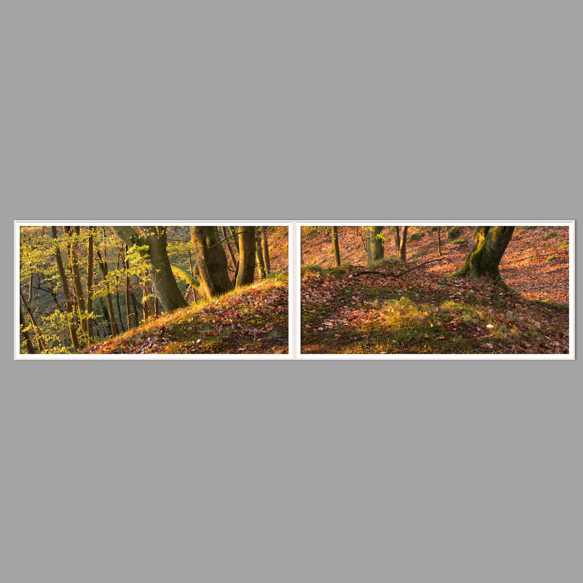 LED-Wandbild Zweiteiler quer 240x60 cm – Herbst