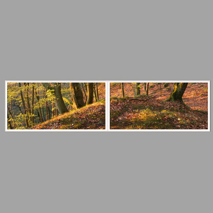 LED-Wandbild Zweiteiler quer 240x60 cm – Herbst