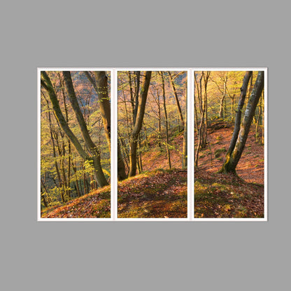 LED-Wandbild Dreiteiler hochkant 180x120 cm – Herbst